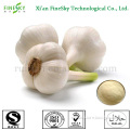 nature garlic extract powder supplier